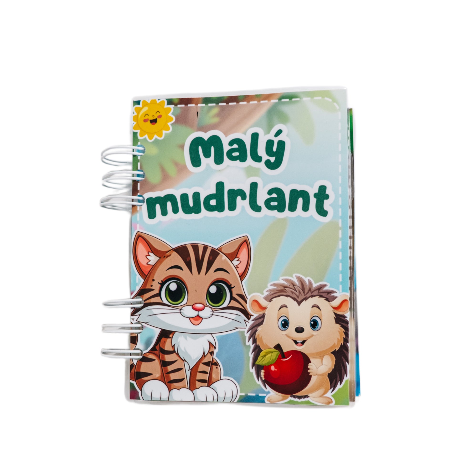 Hra Malý mudrlant - Detská vzdelávacia hra