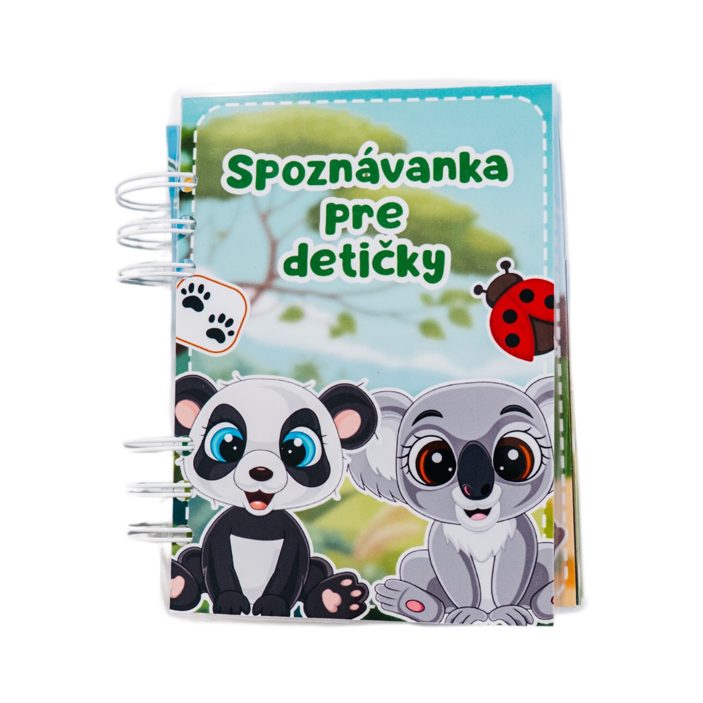 Spoznávanka pre detičky - Detská vzdelávacia hra