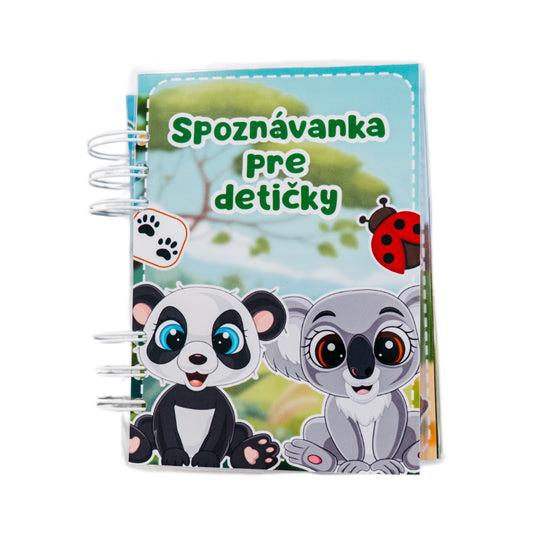 Spoznávanka pre detičky - Detská vzdelávacia hra